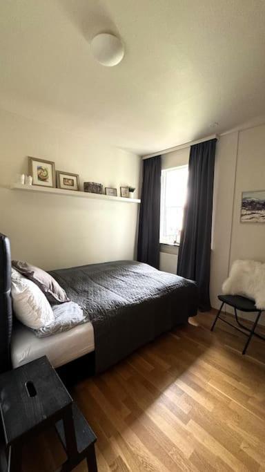 Cozy Icelandic Reykjavik
