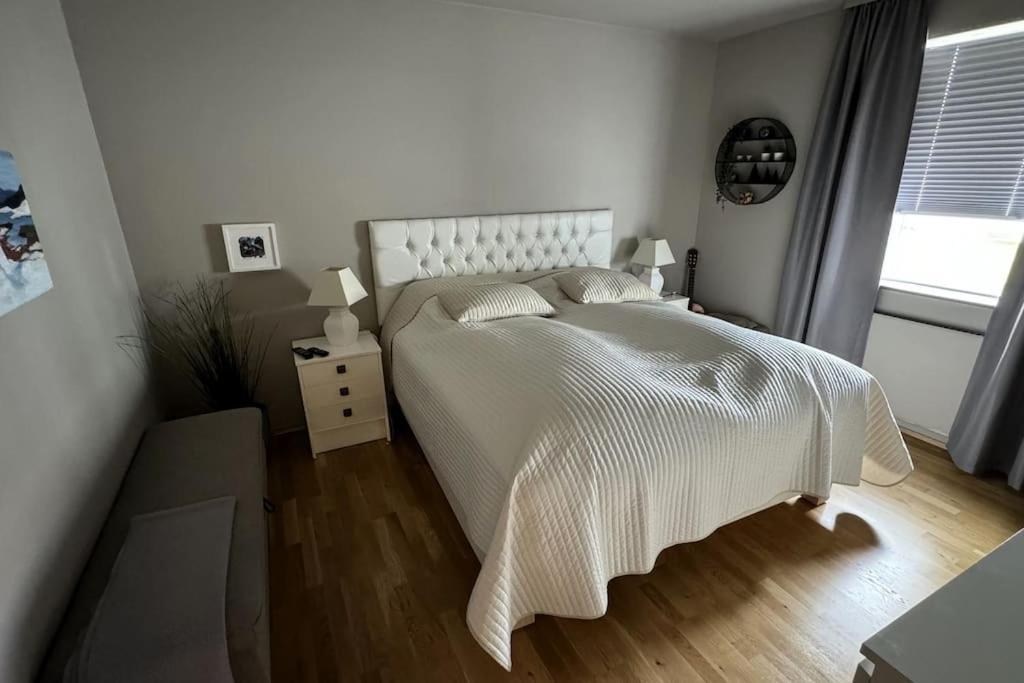 Cozy Icelandic *